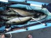2008_09210002.JPG 2008_09210002.JPG