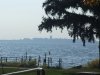 DSCF1772.jpg