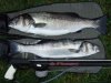 2008_10180001.JPG 2008_10180001.JPG
