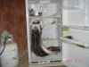 DSC00894.jpg