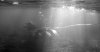 DSCN1515.jpg