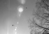 DSCN1518.jpg