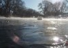 steamy river.jpg