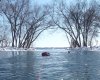 river2.jpg