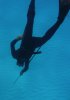 Simon_dive.jpg