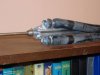 DSCF0067.jpg