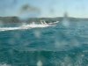 DSC02672.jpg