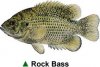 bass_rock.jpg