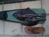 2 flounder.jpg