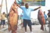 grouper and pargue snapper.jpg