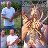 more cray.jpg