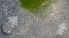 Sole in sand.jpg.jpg
