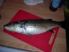 DSCN0178.jpg