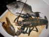 trigger and lobster.jpg