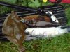 DSC00082.jpg