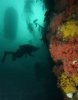 Hideaway_-_North_Wall0079a.jpg