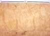 cedar, misc alaskan yellow 2 s25 q60 plh.jpg