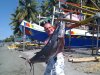 spanish mackerel.jpg