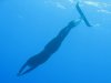 Orca_Diving.jpg