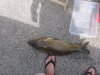 IMG_0286.jpg