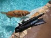 Pursuit Carbon fins.JPG