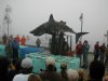 recordshark700.jpg