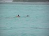 over reef swimming back.jpg