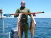 dbcobia.jpg