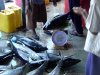 fishmarket4.jpg