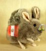 Chinchilla.jpg