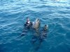 Tommy and Nico with 85kg YF in water.JPG