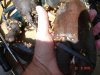 DSC00140.jpg.jpg