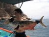Pesca2-06-05.jpg