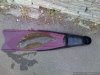 IMG_0240-Optimized.jpg
