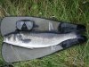 11lb Bass 2nd Aug 2010.JPG