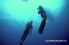 cw underwater angle.jpg