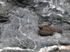 DSCF0916.jpg