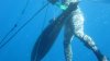 fish at the board.JPG