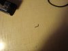 DSC05330.JPG