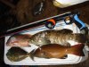 DSC05333.JPG