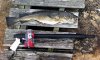 FirstFishWithPneumatic.jpg FirstFishWithPneumatic.jpg