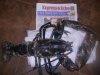 Fishes photos 006.jpg