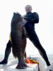 Pargo bote3lq.jpg