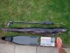 35lb Conger eel.jpg