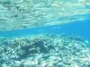 Egypt2007 066.jpg