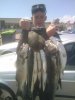 2011-06-02 14.49.14.jpg