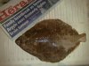 Lemon Sole 1lb.jpg