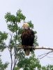 PIC_0096.JPG