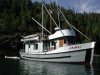 viking1.jpg