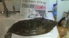 2011-07-28_00-12-37_104.jpg